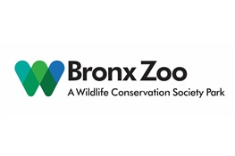 Bronx Zoo Issues Update on Alligator Found in Prospect Park Lake